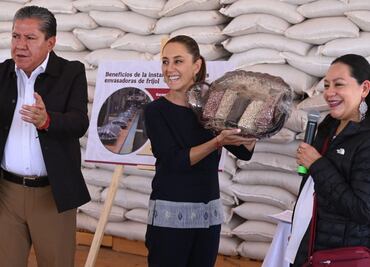 Del "frijol con gorgojo" de AMLO al frijol del Bienestar; estos son los productos anunciados por el gobierno de Sheinbaum