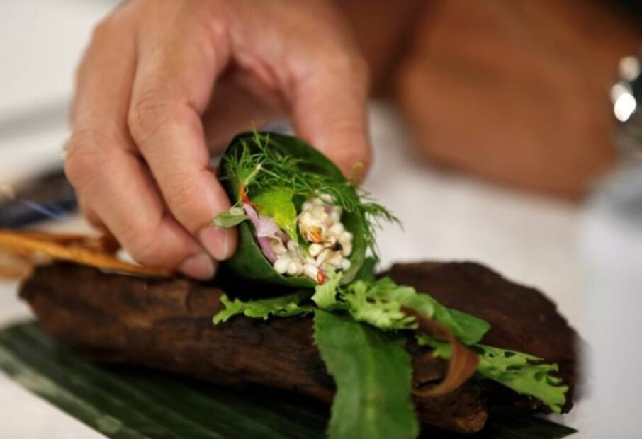 Insectos, la alternativa para dejar de comer proteína animal