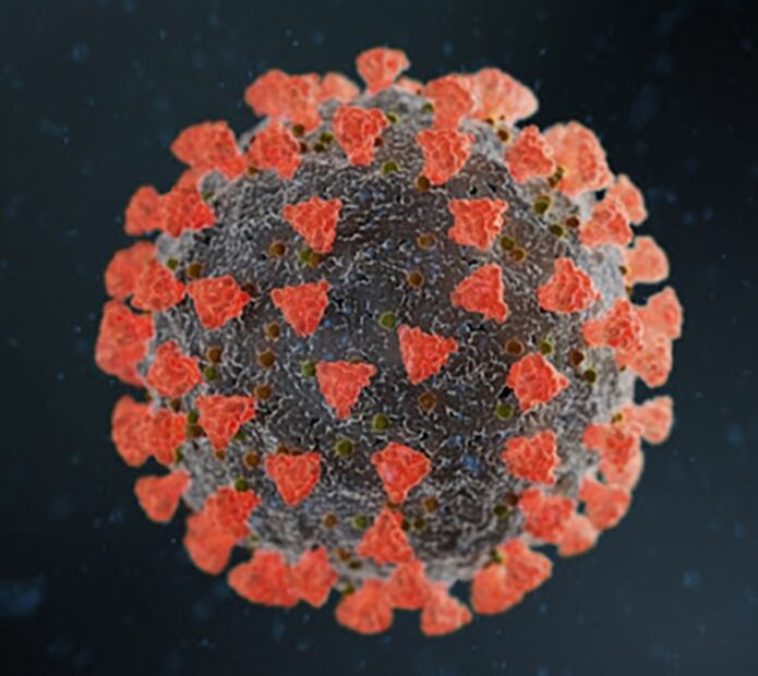Mutación del SARS-CoV-2, ocho veces más infecciosa que coronavirus inicial