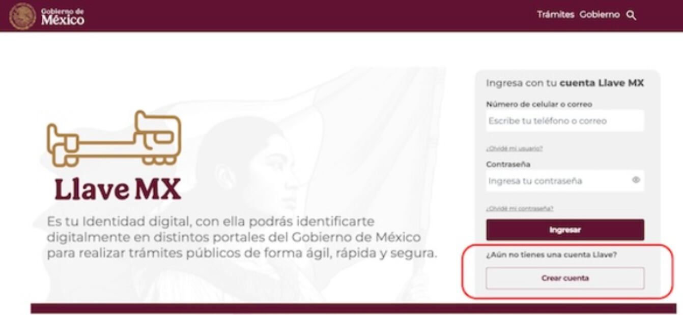 Sigue las instrucciones para crear la cuenta Llave MX. Foto: Especial