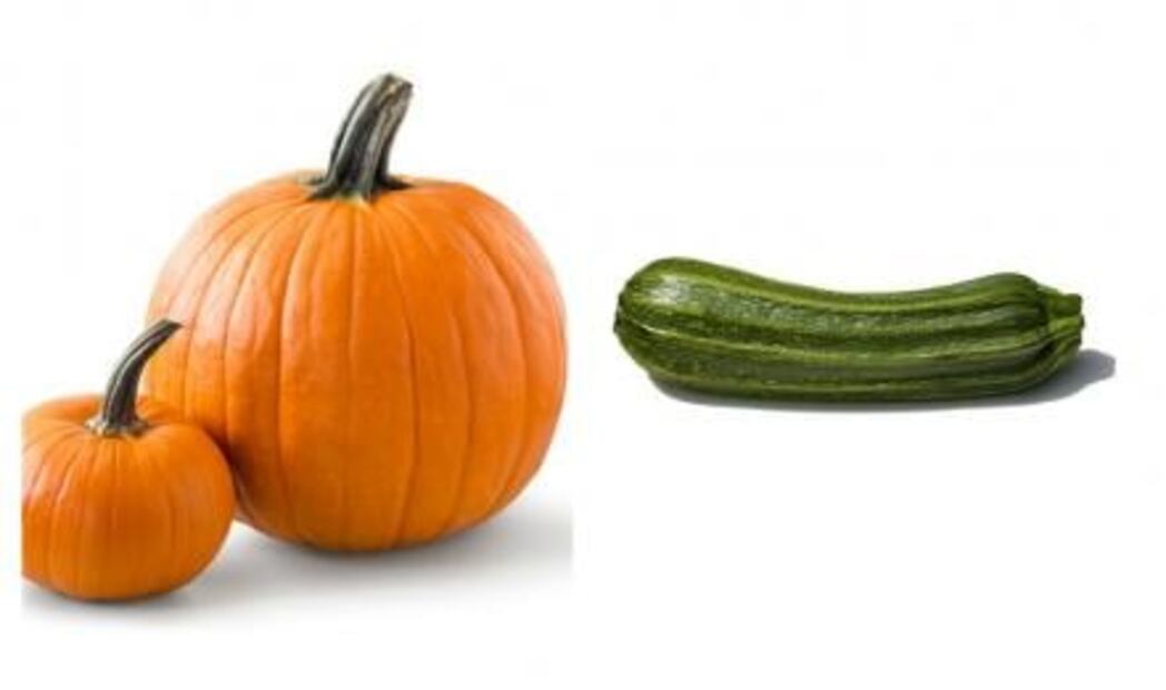 Disfruta del sabor de otoño con las calabazas