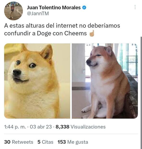 Foto: Captura de pantalla tomada de Twitter