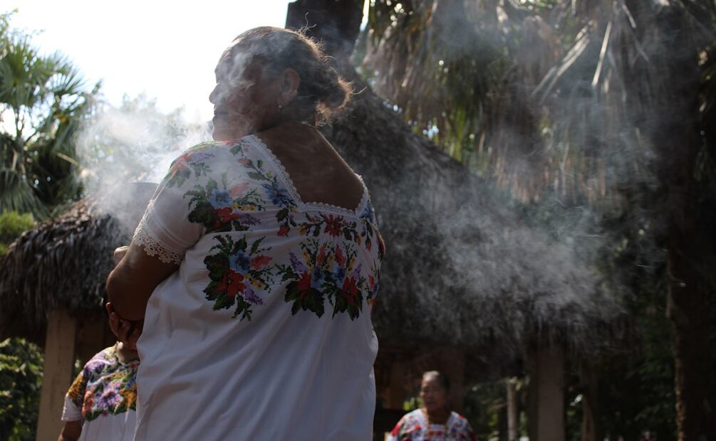 La melipona, la abeja sagrada maya.
Foto: Alan Nájera / El Universal