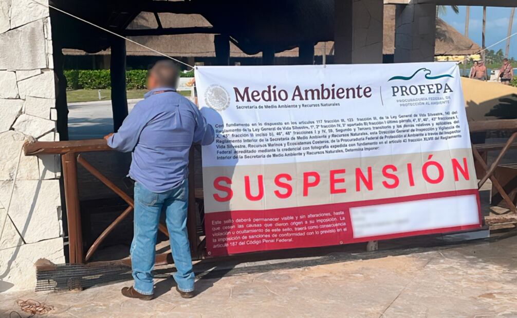 Profepa respalda propuesta que prohíbe operación de delfinarios en México; “es una práctica que ya no podría prevalecer” Foto de Profepa