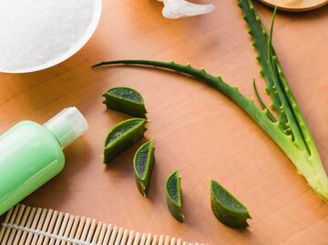 Razones para ponerte sábila en el cabello