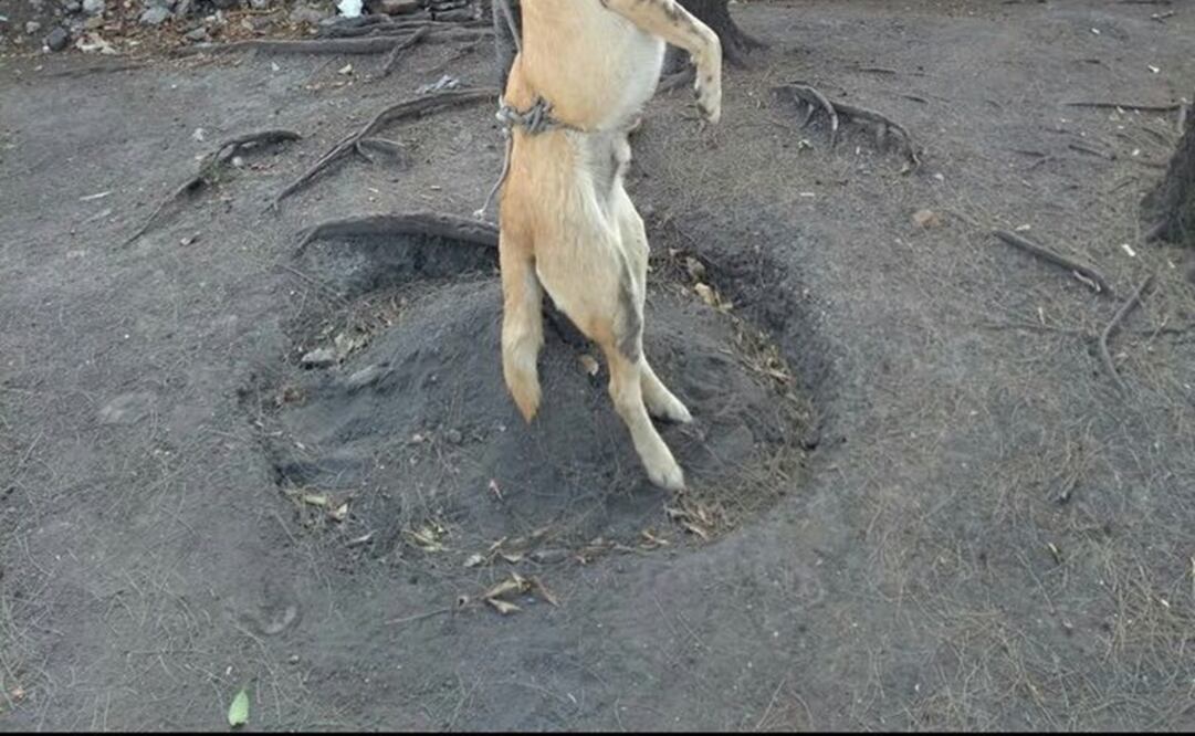 (Foto: Archivo/El Universal)