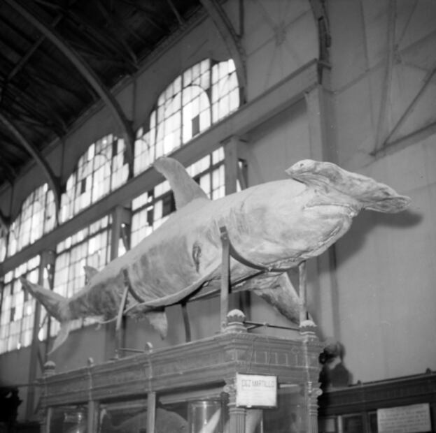 El museo que antecedió al INAH