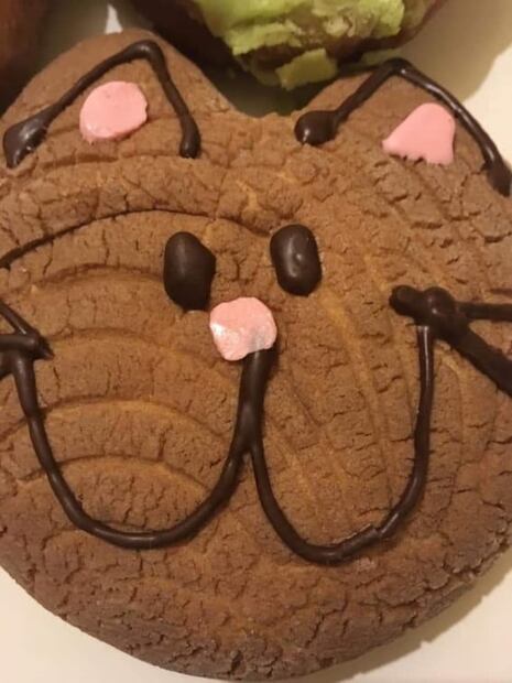 Conoce las Michi Conchas para los amantes de los gatos 