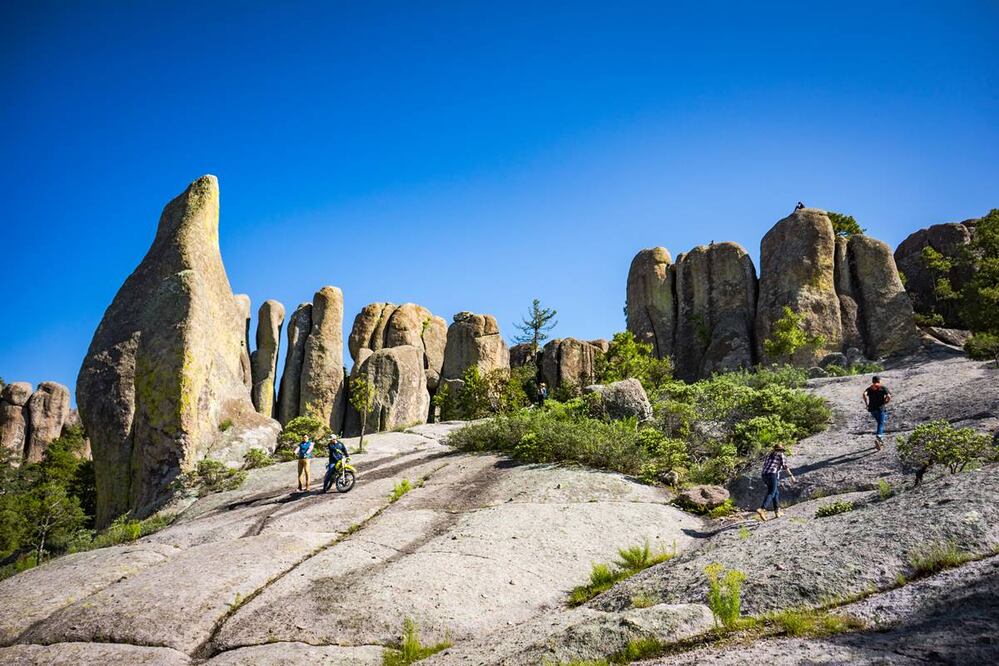 Foto: Fidetur ¡Ah Chihuahua!