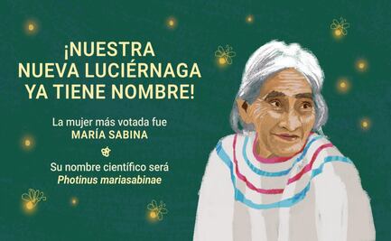 Descubren nueva especie de luciérnaga en Chapultepec y la nombran María Sabina