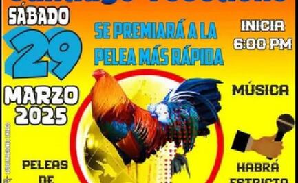 Primaria de Oaxaca organiza pelea de gallos para celebrar aniversario ejidal; ambientalistas piden a SEP y Profepa detener el evento