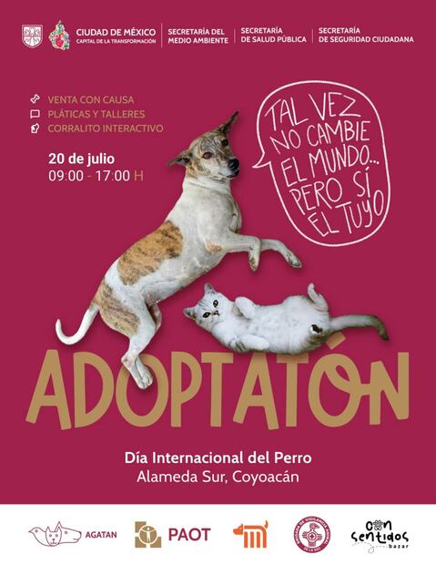 Información de "Adoptatón 2025" (14/07/2025). Foto: Especial