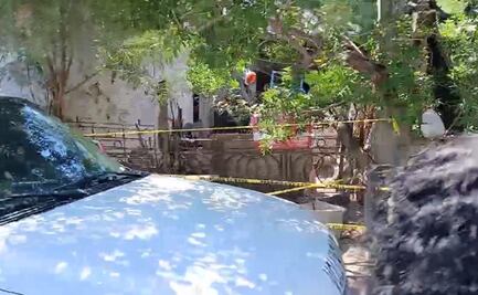 Perros atacan y matan a bebé de seis meses en Matamoros, Tamaulipas; los canes están bajo custodia 