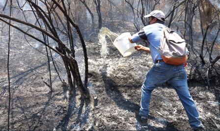 FOTOS: A cubetadas, pobladores de Oaxaca intentan apagar un incendio forestal en Tomaltepec
