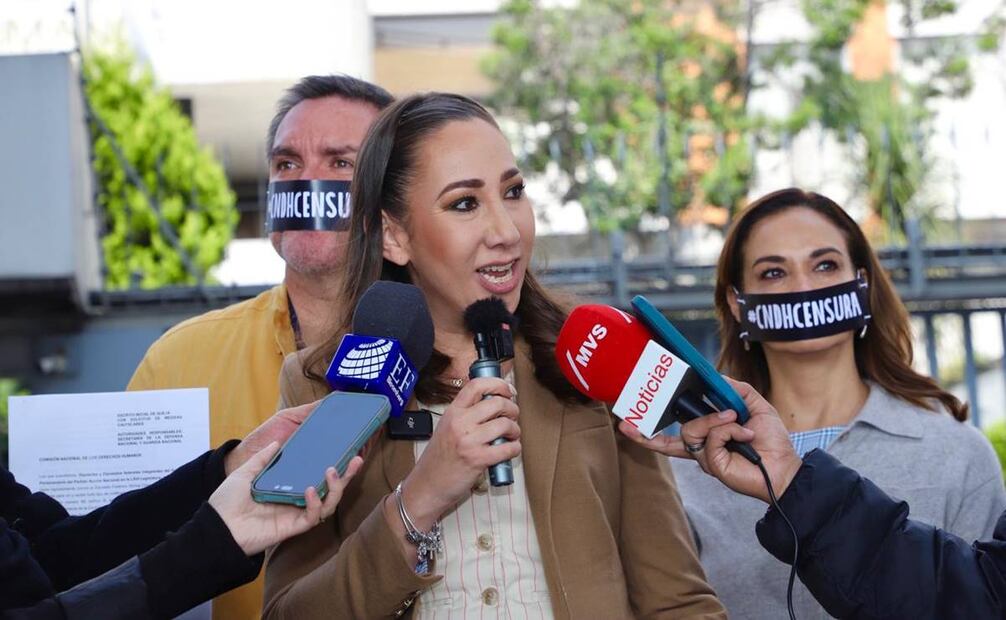 El Partido Acción Nacional en la Cámara de Diputados, encabezado por la Coordinadora de esa bancada, Noemí Berenice Luna Ayala, acudió a las instalaciones de la Comisión Nacional de los Derechos Humanos este 28 de octubre del 2024. Foto: Especial
