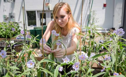 Bautizan planta en honor a héroe de "The Martian"