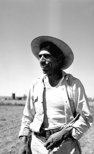 Bracero mexicano en campo de remolacha azucarera, E.U. La Federación Californiana de Agricultura presentó una propuesta para aumentar la semana de 40 horas en trabajo agrícola por considerarla “una industria bélica de importancia”, lo que sólo implicó más trabajo los migrantes. Foto: OSU/Wikimedia Commons.