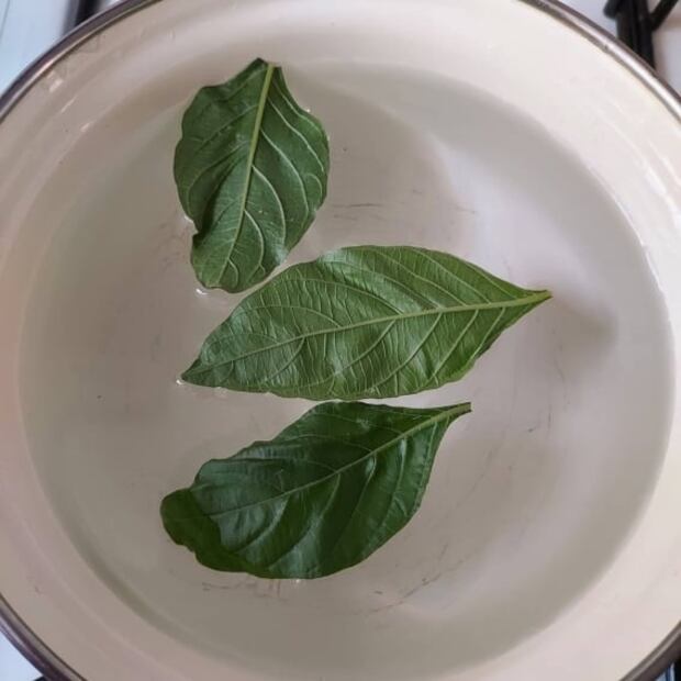Conoce las propiedades medicinales de la infusión de muicle 