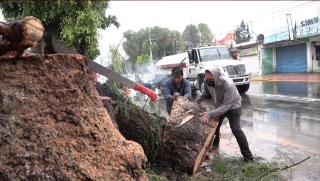 Lluvias en Ecatepec dejan anegaciones, caída de árboles y deslaves 