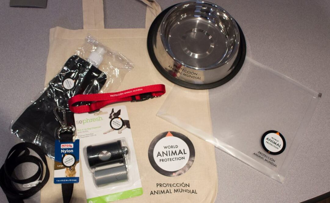 Trivia. Gana un kit para mascotas en sismos