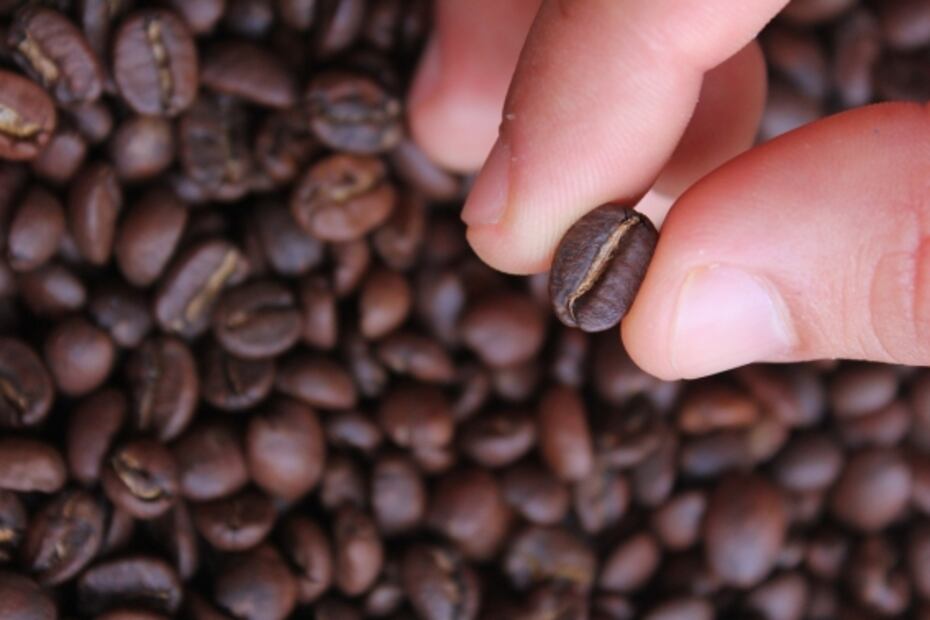 Celebra el día del café con una taza más intensa