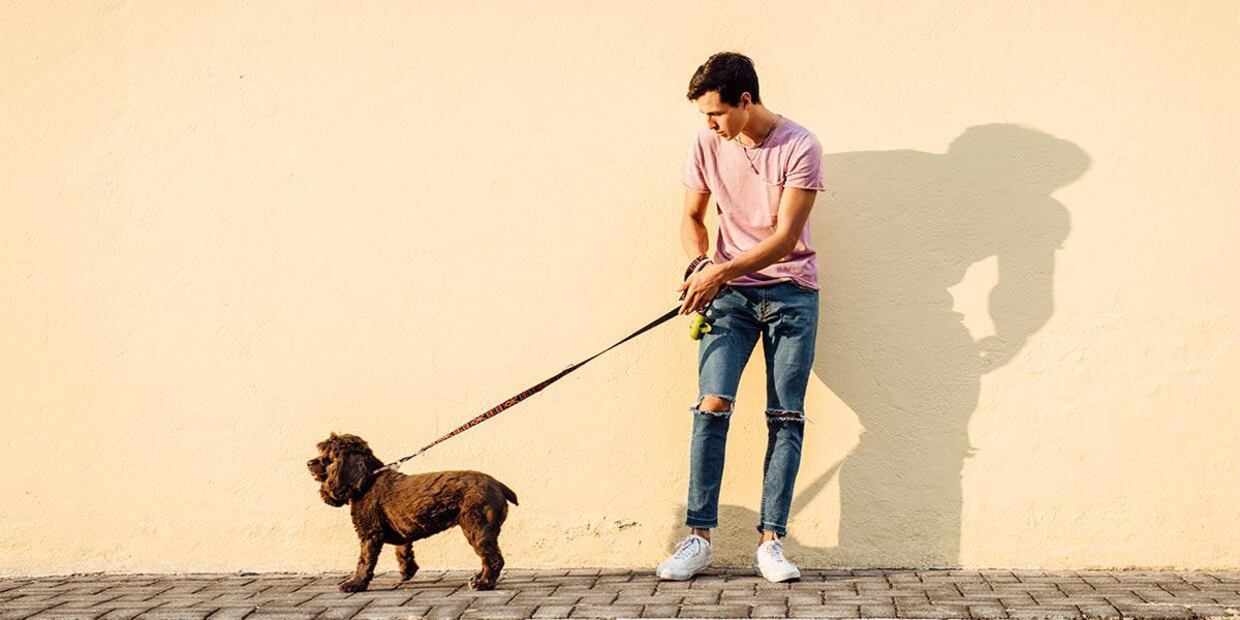 Principales causas de porque tu perro no quiere salir a pasear. Fuente: Freepik.