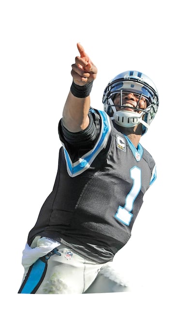 Cam Newton (SAM SHARPE. USA TODAY SPORTS)