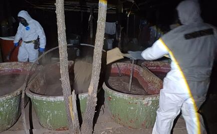 Aseguran mega narcolaboratorio en Zacatecas; está ligado a “Los Chapitos”