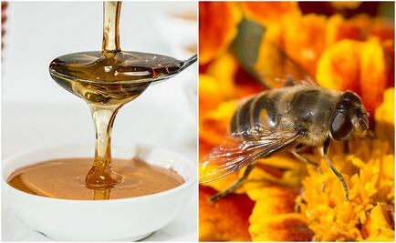 Las mejores mascarillas hechas con miel que todas deberíamos de usar