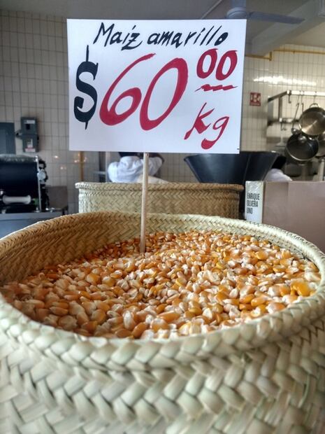 ¿De qué va la nueva ley que protege al maíz nativo?