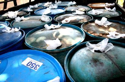 Recuperan 200 mil litros de combustible