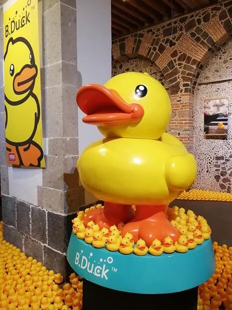 B. Duck, la expo de este pato a través del mundo en el Mumedi