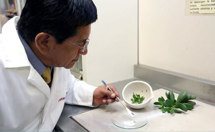 Investigador del IPN obtiene patente de anticonceptivo natural