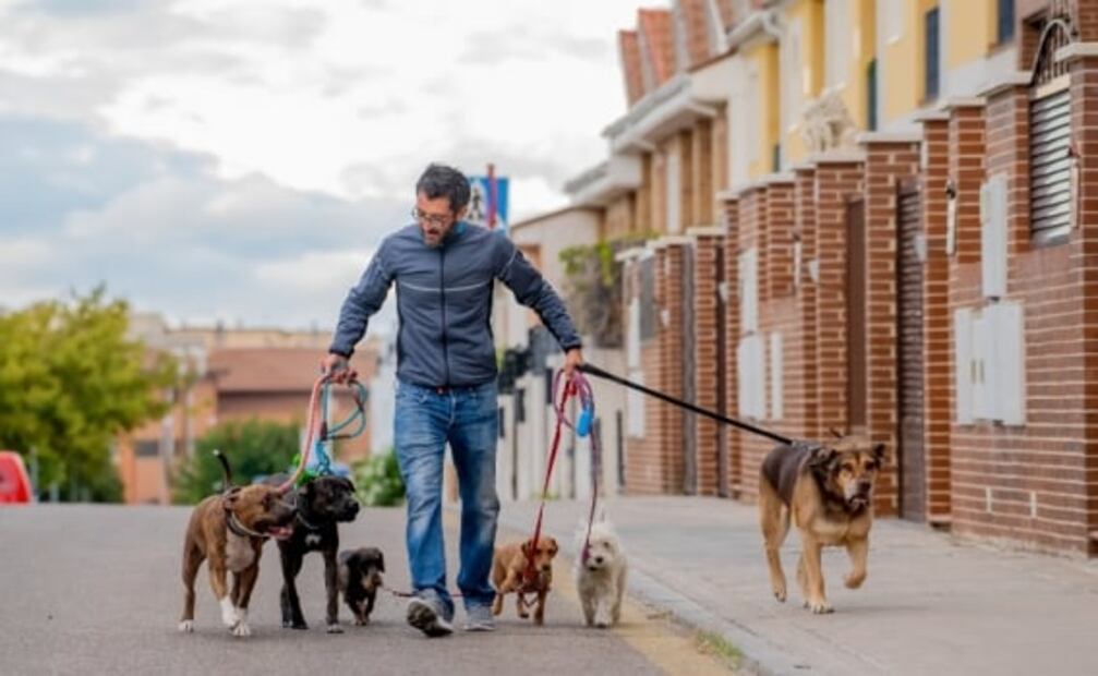 ¿Cómo diversificar tus ingresos?