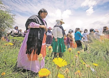 Más del 70% de los indígenas viven en situación de pobreza, advierte el Coneval