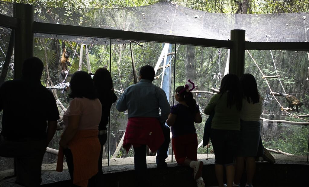 Personas visitan el Zoológico de Chapultepec. Foto: archivo /EL UNIVERSAL