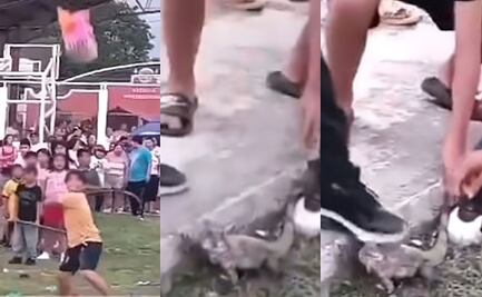 ¿Tradición o maltrato animal? Niños rompen piñata con animales vivos en Campeche; video causa indignación en redes 