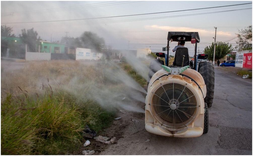 Trabajos de fumigación en Chihuahua para evitar que el mosco que porta el dengue se siga propagando (31/10/2024). Foto: Especial
