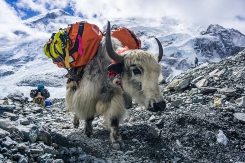 9 curiosidades del Monte Everest, uno de los atractivos más caros del mundo