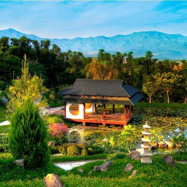Foto: Jardines de México