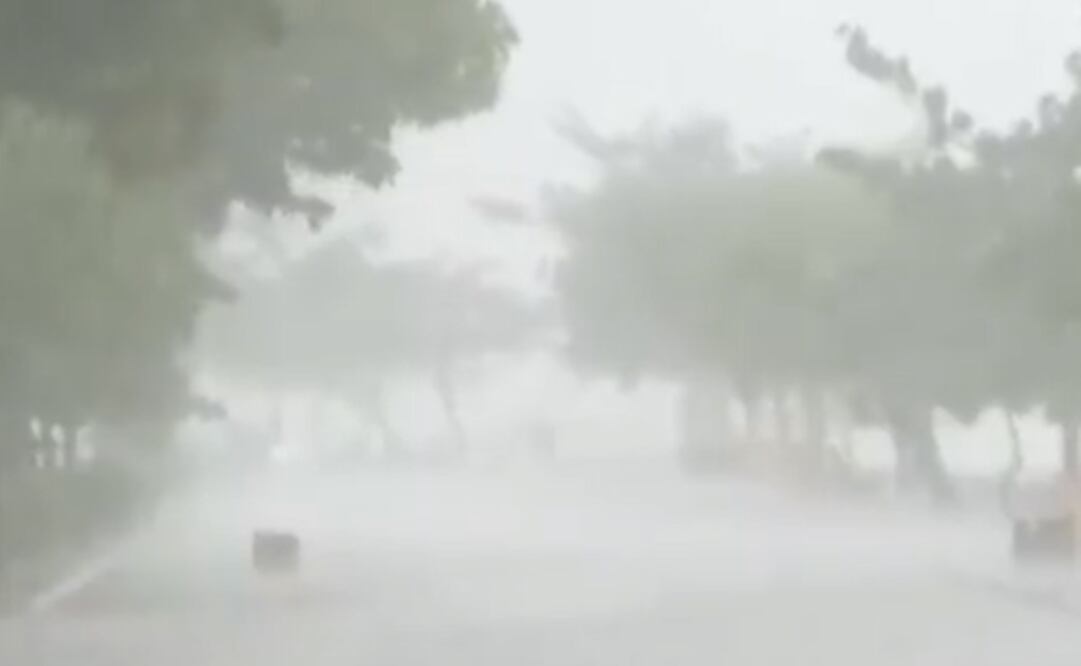 Foto: Tomada del video