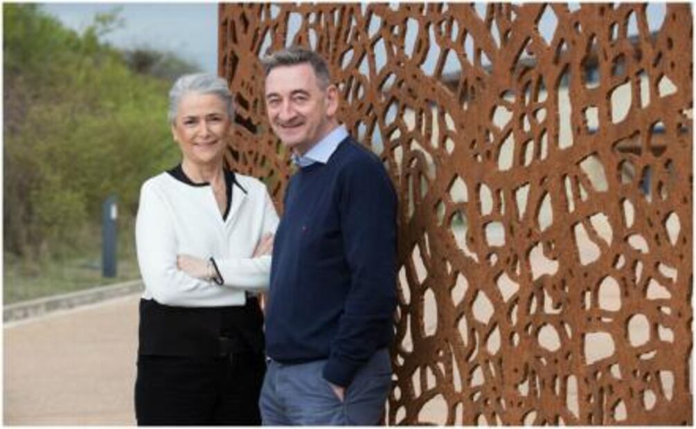 Crean vinos con volumen aromático