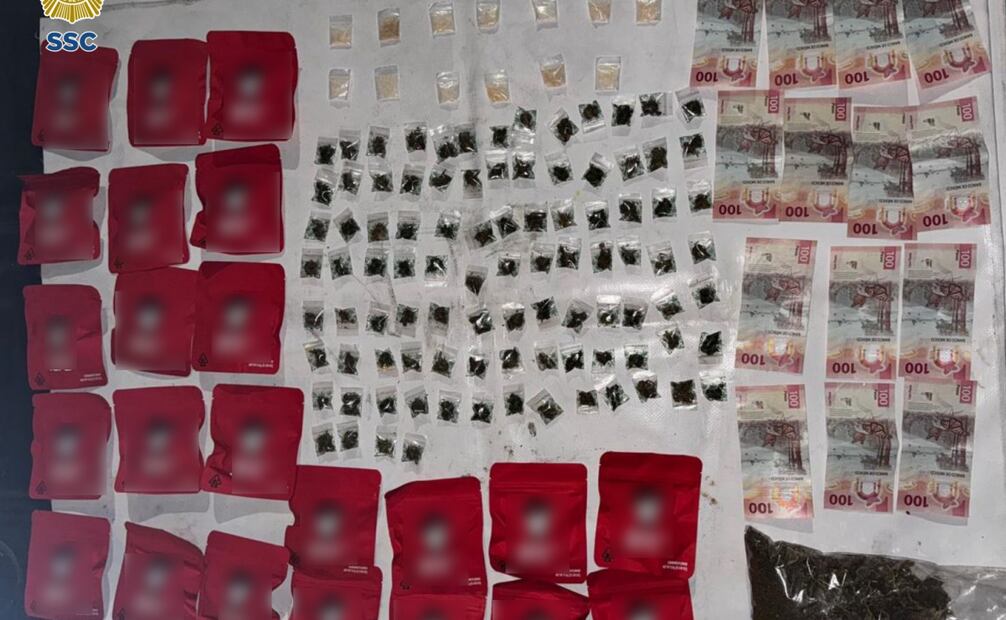 Los oficiales hallaron 117 dosis de marihuana. Foto: Especiales