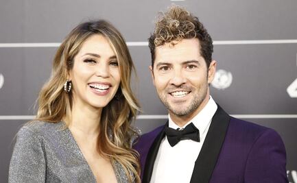 David Bisbal y Rosanna Zanetti revelan que están esperando su segundo hijo