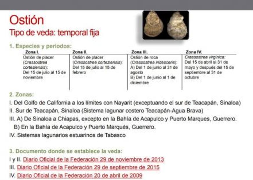 Conoce la veda de  mariscos en México