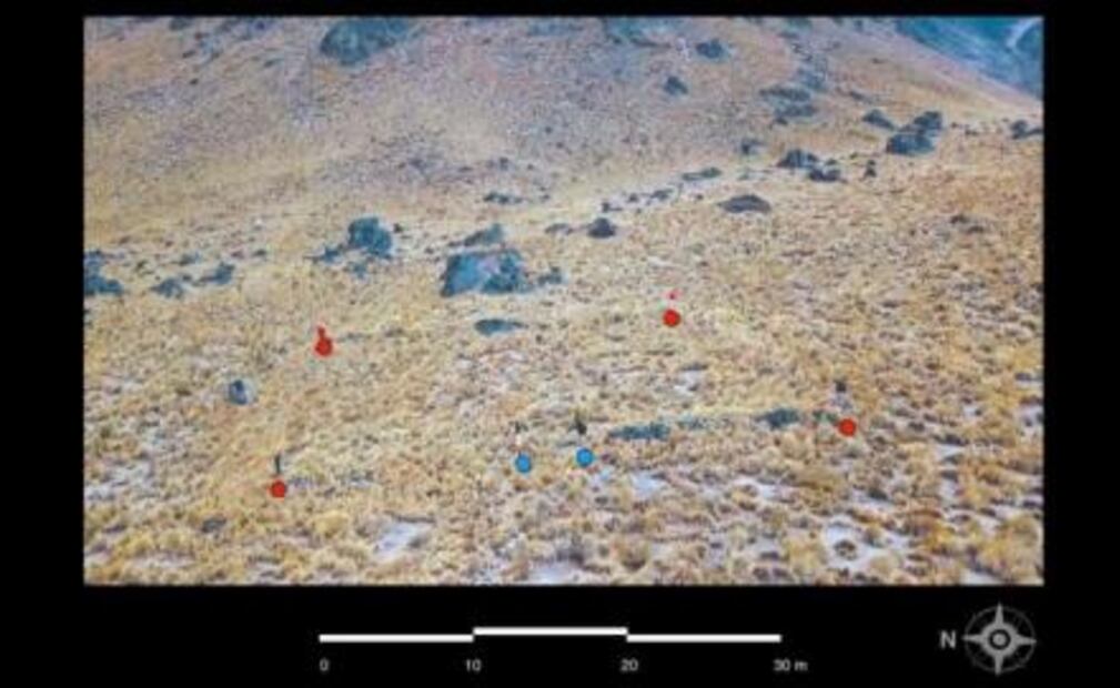 Archaeological site found in Orizaba's Peak