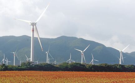 Conceden otras 8 suspensiones a ley eléctrica