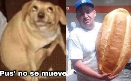 Sismo desata ola de memes; alerta sísmica asusta en CDMX, pero no se percibe