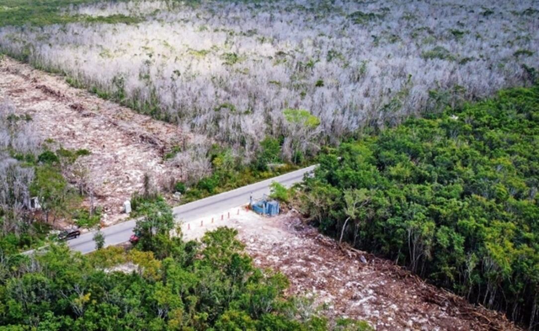 Foto: Archivo/ EL UNIVERSAL