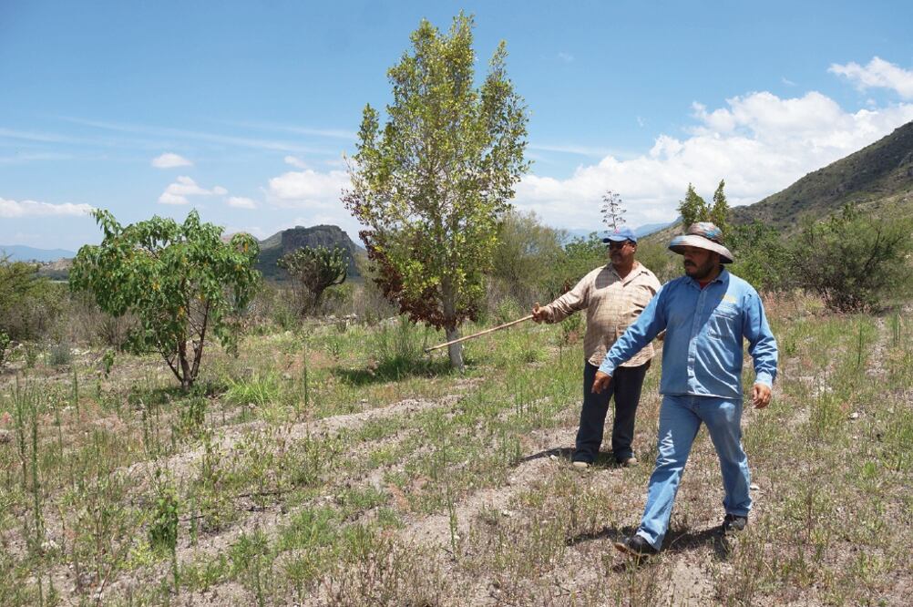 Familiares de Heliodoro Morales exigieron la liberación del indígena, quien sigue preso por haber matado conejos en una zona declarada monumento natural por la Comisión Nacional de Áreas Naturales Protegidas (EDWIN HERNÁNDEZ. EL UNIVERSAL)